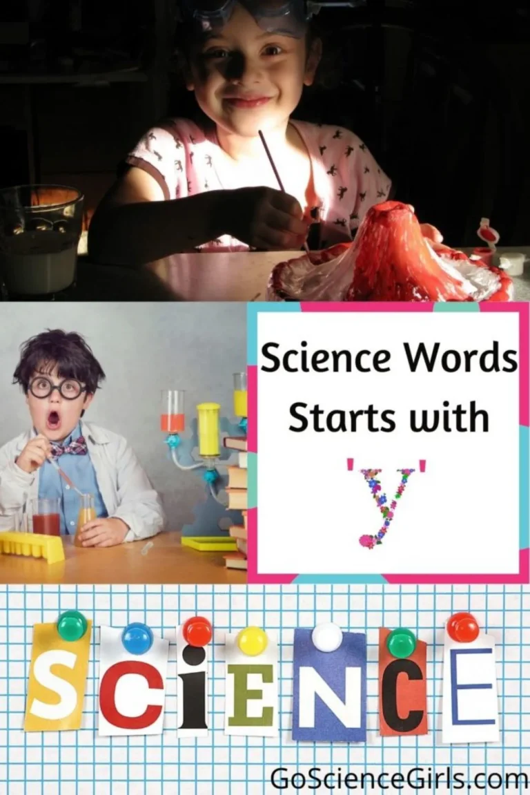 Science Terms Starting With Y – An In-Depth Look