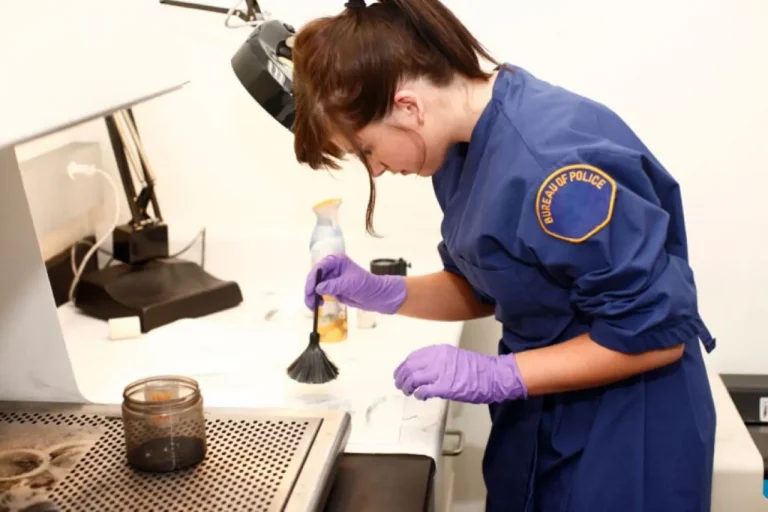 The Best Majors For Forensic Science