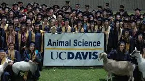 Uc Davis Animal Science Acceptance Rate: An In-Depth Look